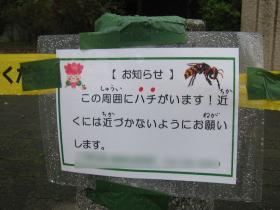 スズメバチの巣があるらしい
