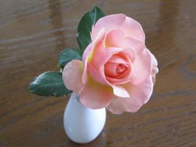 2012010401.jpg