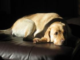 2012010404.jpg