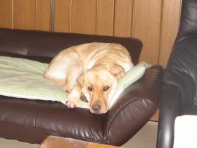 2012010405.jpg