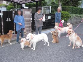 2012010410.jpg