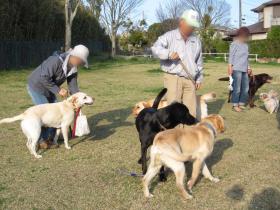 2012042901.jpg