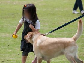 2012050802.jpg