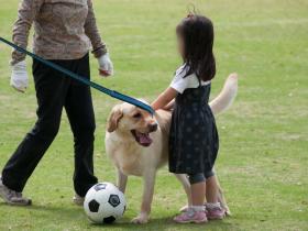 2012050803.jpg