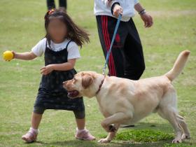 2012050804.jpg