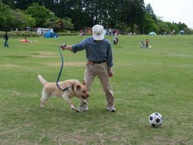 2012050808.jpg