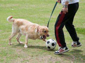 2012050809.jpg