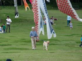 2012050810.jpg