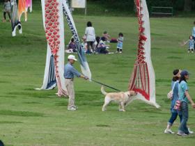 2012050811.jpg
