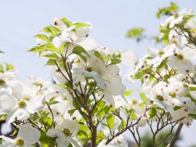 2012052601.jpg