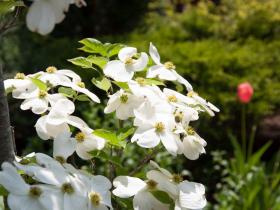2012052602.jpg