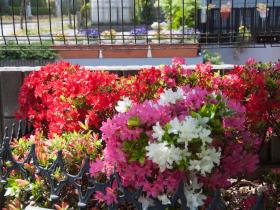 2012052603.jpg
