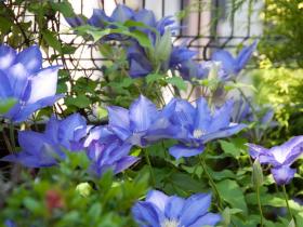 2012052605.jpg