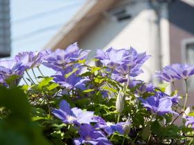 2012052606.jpg