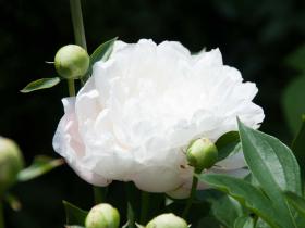2012052607.jpg