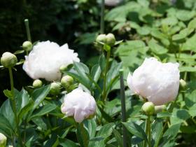 2012052608.jpg
