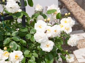 2012052613.jpg