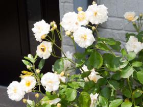 2012052614.jpg