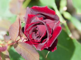 2012052617.jpg