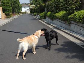 2012060501.jpg