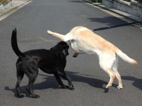 2012060503.jpg