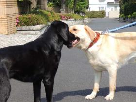 2012060504.jpg