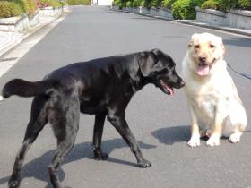 2012060505.jpg