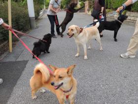 2012060508.jpg