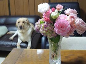 2012060509.jpg