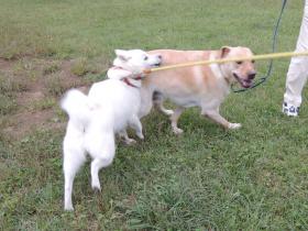 2012101303.jpg