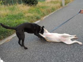 2012111703.jpg