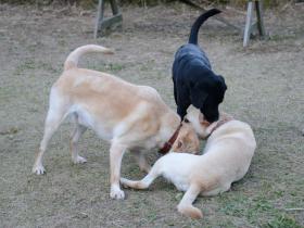 2012111709.jpg