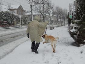 2013011402.jpg