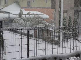 2013011403.jpg