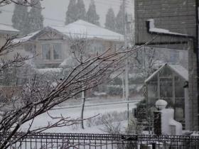 2013011404.jpg