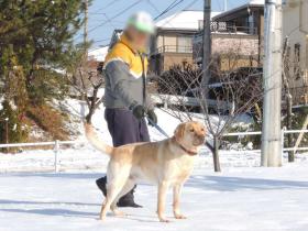 2013011503.jpg