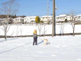 2013011504.jpg