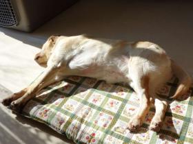 2013011505.jpg