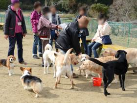 2013030301.jpg