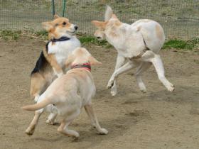 2013030303.jpg