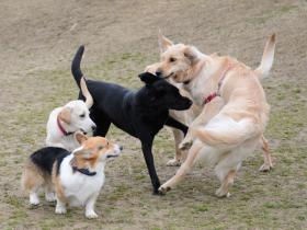 2013030311.jpg