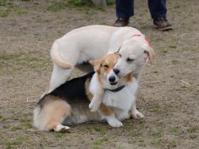 2013030313.jpg