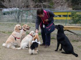 2013030316.jpg