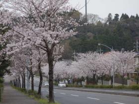 2013033001.jpg