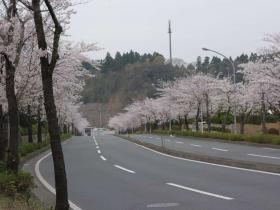 2013033002.jpg