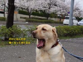 2013033004.jpg