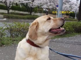 2013033005.jpg