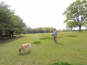 2013042502.jpg