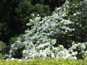 2013042503.jpg