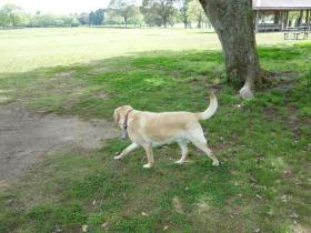 2013042505.jpg